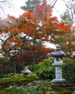 嵯峨嵐山 天龍寺、紅葉、日本庭園、11月秋、京都府京都市の観光・撮影スポットの名所